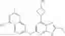 Fig. 189 - Gyrase inhibitors