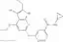 Fig. 211 - Gyrase inhibitors