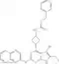 Fig. 232 - Gyrase inhibitors