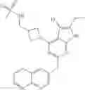 Fig. 253 - Gyrase inhibitors