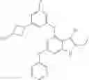 Fig. 333 - Gyrase inhibitors