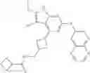 Fig. 460 - Gyrase inhibitors