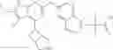 Fig. 496 - Gyrase inhibitors
