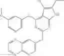 Fig. 563 - Gyrase inhibitors