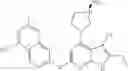Fig. 588 - Gyrase inhibitors