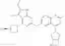 Fig. 703 - Gyrase inhibitors