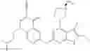Fig. 715 - Gyrase inhibitors