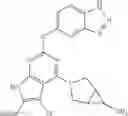 Fig. 853 - Gyrase inhibitors