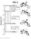 Fig. 06 - Controlling the isomerization rate of Azo-BF2 switches using aggregation