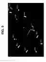 Fig. 08 - Controlling the isomerization rate of Azo-BF2 switches using aggregation
