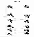 Fig. 18 - Controlling the isomerization rate of Azo-BF2 switches using aggregation