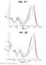 Fig. 49 - Controlling the isomerization rate of Azo-BF2 switches using aggregation