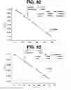 Fig. 74 - Controlling the isomerization rate of Azo-BF2 switches using aggregation