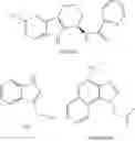 Fig. 04 - Nucleotide analogs