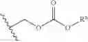 Fig. 23 - Nucleotide analogs