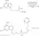 Fig. 239 - Nucleotide analogs