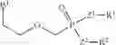 Fig. 264 - Nucleotide analogs