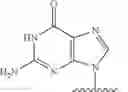 Fig. 302 - Nucleotide analogs