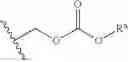Fig. 43 - Nucleotide analogs