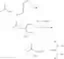 Fig. 03 - Method of esterification of carboxyl groups present on multihydroxyl cyclic polyene molecular structures carrying basic nitrogen groups