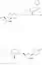 Fig. 145 - Substituted nucleosides, nucleotides and analogs thereof