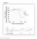 Fig. 60 - Substituted nucleosides, nucleotides and analogs thereof