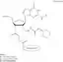 Fig. 17 - Dithiolane functionalized nucleoside amidites and supports for stronger immobilization of bio-molecules on solid surfaces