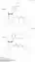 Fig. 53 - Dithiolane functionalized nucleoside amidites and supports for stronger immobilization of bio-molecules on solid surfaces