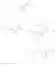 Fig. 141 - Substituted nucleosides, nucleotides and analogs thereof