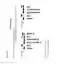 Fig. 58 - Substituted nucleosides, nucleotides and analogs thereof