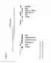 Fig. 59 - Substituted nucleosides, nucleotides and analogs thereof