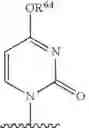 Fig. 68 - Substituted nucleosides, nucleotides and analogs thereof