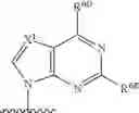 Fig. 75 - Substituted nucleosides, nucleotides and analogs thereof