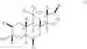 Fig. 04 - NEUROACTIVE 13, 17-SUBSTITUTED STEROIDS AS MODULATORS FOR GABA TYPE-A RECEPTORS