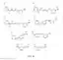 Fig. 19 - Macrocyclic peptidomimetics for alpha-helix mimicry