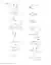 Fig. 04 - Peptidomimetic compounds