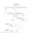 Fig. 06 - Peptidomimetic compounds