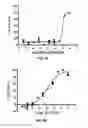 Fig. 04 - PEPTIDOMIMETIC MACROCYCLES WITH PTH ACTIVITY