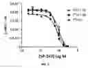 Fig. 06 - PEPTIDOMIMETIC MACROCYCLES WITH PTH ACTIVITY