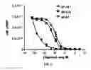 Fig. 07 - PEPTIDOMIMETIC MACROCYCLES WITH PTH ACTIVITY