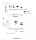 Fig. 06 - Methods for treating Janus kinase-associated disorders by administering soluble transforming growth factor beta type II receptor