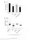 Fig. 08 - Methods for treating Janus kinase-associated disorders by administering soluble transforming growth factor beta type II receptor