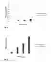 Fig. 02 - Recombinant fibrinogen