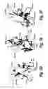 Fig. 05 - Fibronectin binding domains with reduced immunogenicity