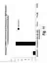 Fig. 16 - Fibronectin binding domains with reduced immunogenicity