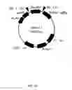 Fig. 02 - Antibody capable of binding to influenza virus
