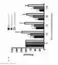 Fig. 06 - COMPOSITIONS AND METHODS FOR TREATING METABOLIC DISORDERS