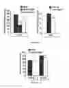 Fig. 02 - Method of treating diabetic nephropathy by administering antibodies to vascular endothelial growth factor B (VEGF-B)