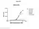 Fig. 05 - Antibody therapeutics that bind CD147