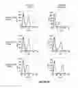 Fig. 06 - Antibody constructs for DLL3 and CD3